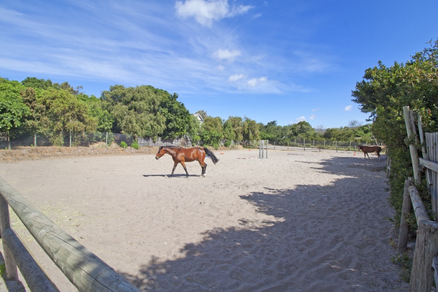 4 Bedroom Property for Sale in Meadowsteads Western Cape